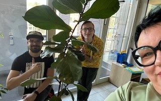 Rettung der Büropflanzen